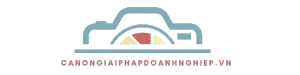 Canongiaiphapdoanhnghiep