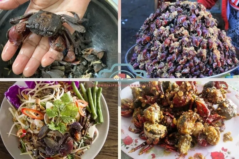 Ba Khía Bạc Liêu là gì?