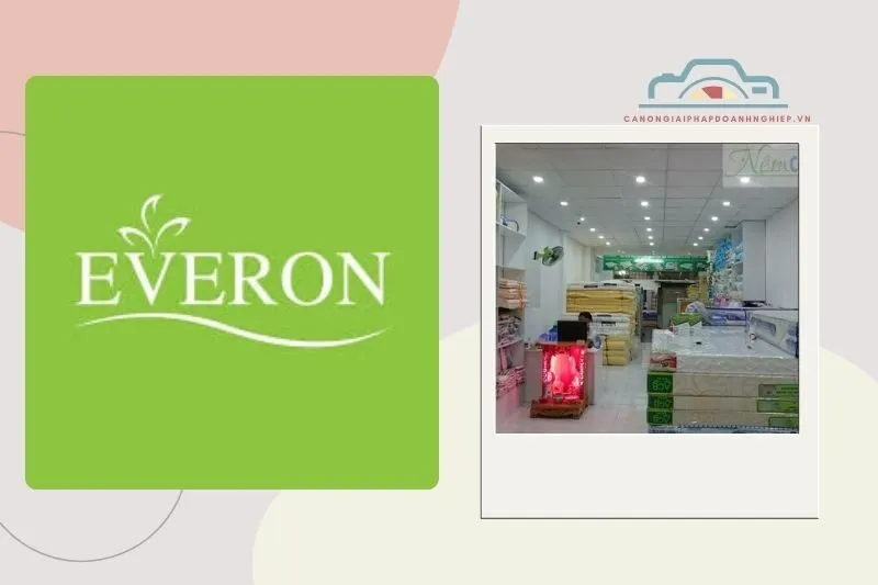 Các đại lý của Everon