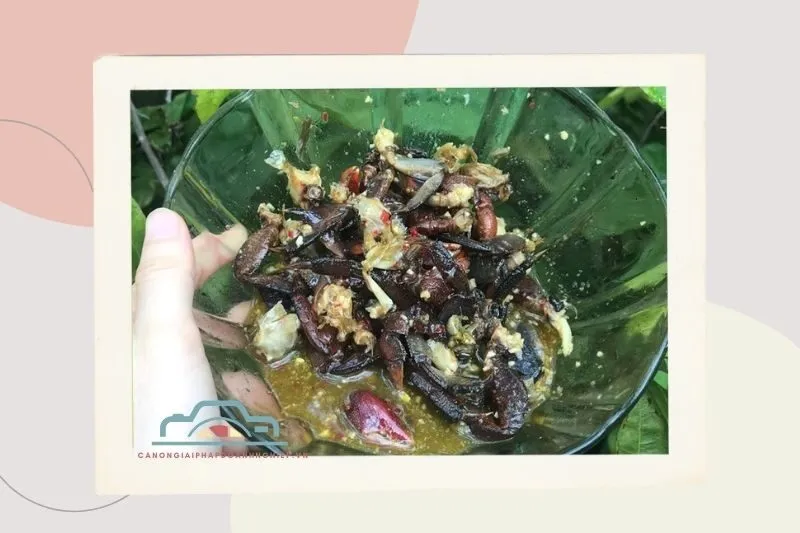 Cách chế biến Ba Khía thành món ăn đặc sản