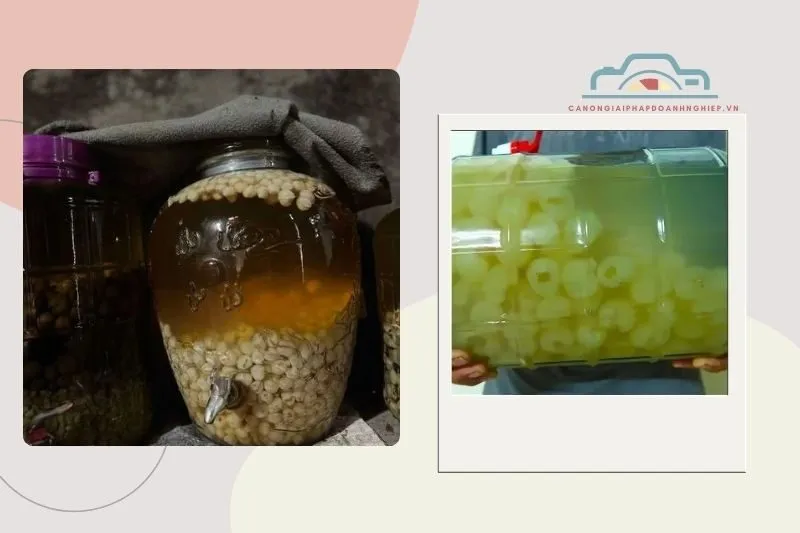 Cách Làm Rượu Long Nhãn Bạc Liêu Tại Nhà