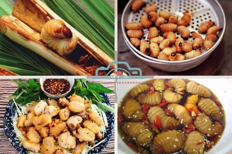 Đuông chà là Bạc Liêu là gì?