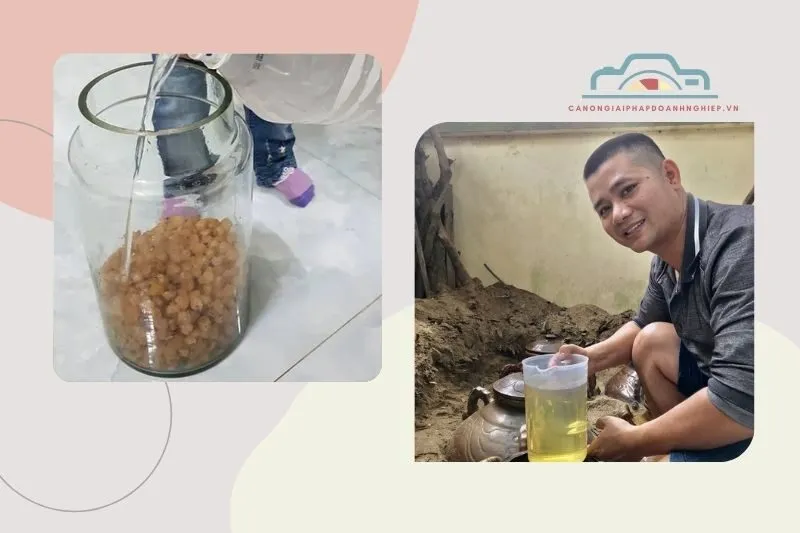 Lọc Rượu Và Đóng Chai