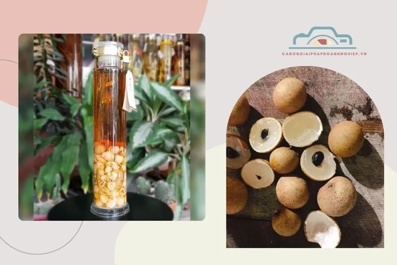 Lợi Ích Sức Khỏe Từ Rượu Long Nhãn Bạc Liêu