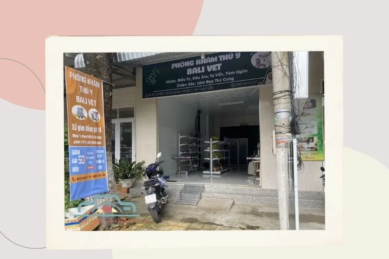 Phòng Khám Thú Y BaLi Vet