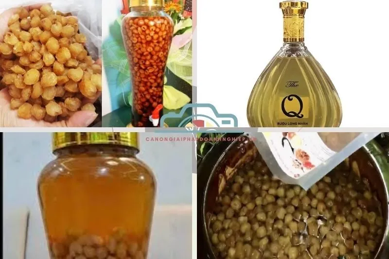 Rượu Long Nhãn Bạc Liêu Chính Hãng Mua Ở Đâu?