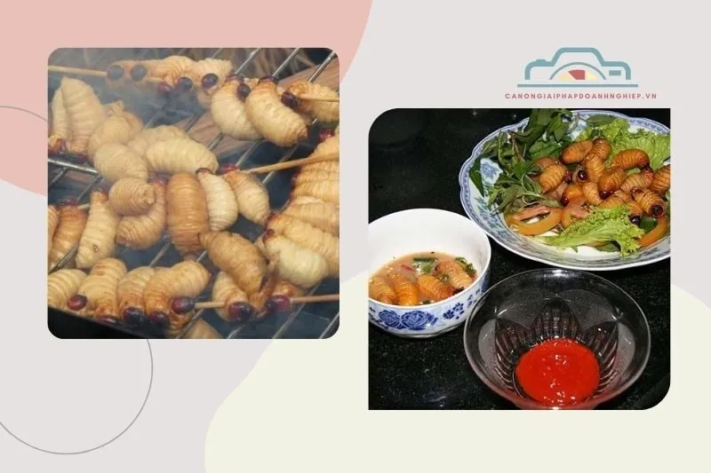 Trải nghiệm thưởng thức đặc sản đuông chà là