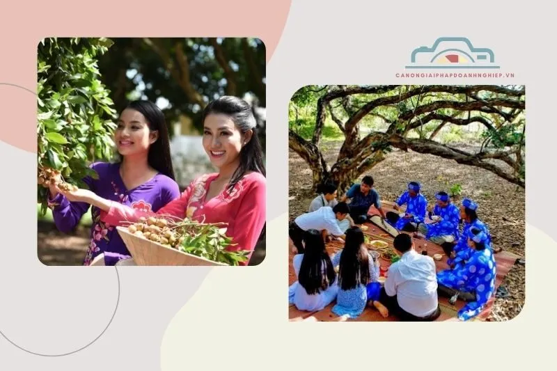 Ý nghĩa văn hóa và du lịch của vườn nhãn cổ Bạc Liêu