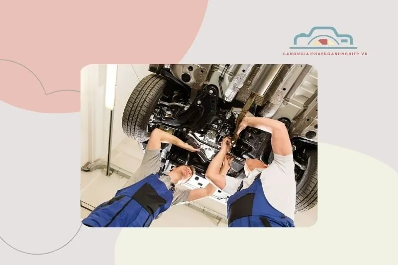 69auto.vn Bạc Liêu