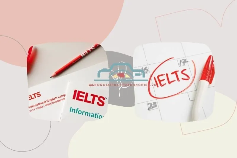 Trung tâm luyện thi IELTS Bạc Liêu chất lượng cao